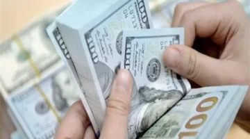 تحركات مفاجئة.. سعر الدولار أمام الجنيه في البنوك المصرية بتعاملات الأربعاء